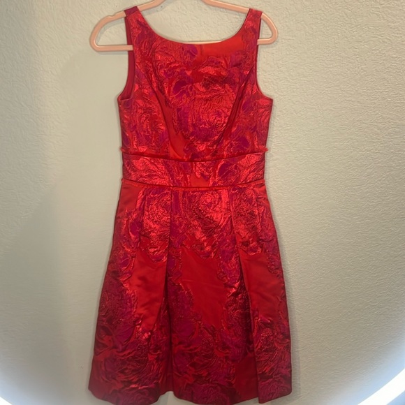Theia Alexis Fringe Cocktail Dress red pink size 8. V neck back. Stunning - Picture 1 of 8